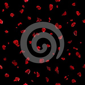 Seamless Red Rose Petals on Black photo