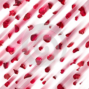 Seamless Red Rose Petals Motion