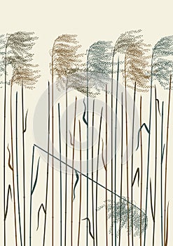 Seamless reed background