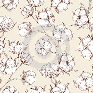 Seamless repeatable botanical pattern with soft fluffy cotton flower branches. Vintage design of endless floral