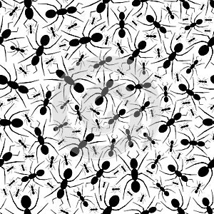 Seamless Repeating Ant Pattern