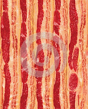 Seamless Repeating Strips of Bacon