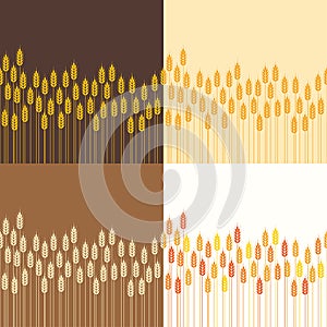 Seamless repeating wheat or rye background patterns, vector