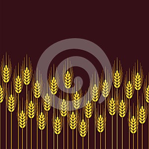 Seamless repeating wheat, rye or barley field pattern. vector