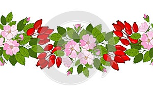 seamless rose hip ornament. A pattern of berries and flowers dog-rose