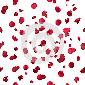 Seamless rose petals photo