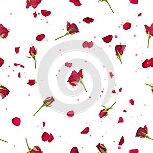 Seamless roses and petals in red