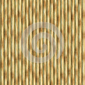 Seamless roughage bamboo pattern photo