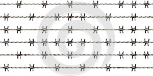 Seamless rusted barbed wire texture isolated on white background