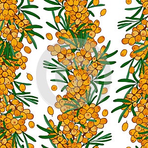 Seamless sea buckthorn pattern. Endless wallpaper. Ornament with autumn berries