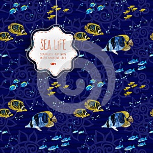 Seamless sea life background with fishes. photo