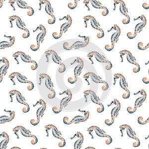 Seamless seahorse pattern. Watercolor background with ocean marine inhabitant for textile, wallpapers, wrapping paper