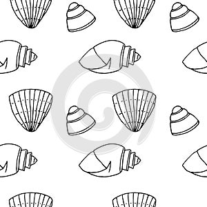 Seamless shell pattern, vector illustration, hand drawn