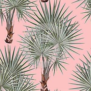Seamless silver pattern. Tropical leaves. Fan palm leaf tropical leaves on siler blue color on pink background.
