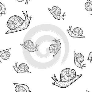 Seamless. Snail gastropods, isolated animal. Sketch scratch board imitation.