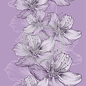 Seamless spring background with flowers of apple, hand-drawing.