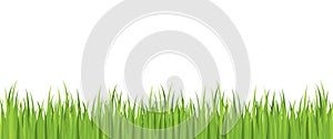 Seamless spring grass vector