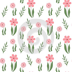 Seamless spring pattern floral with flowers - chamomile,  leaves isolated on white background