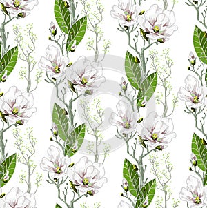 Seamless spring pattern with magnolias and green leaves. Delicate flowers in botanical motifs.