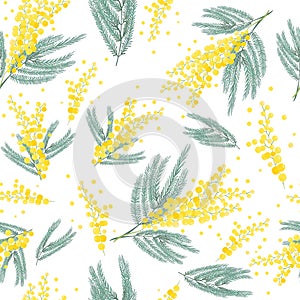 Seamless spring pattern with mimosa flower. Bright yellow flowers background.