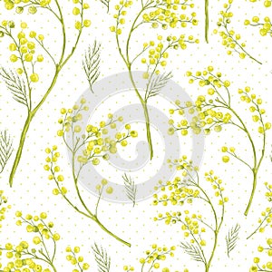 Seamless Spring Pattern with Sprig of Mimosa.