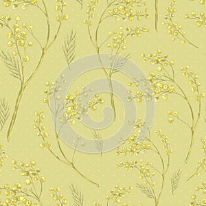Seamless Spring Pattern with Sprig of Mimosa.