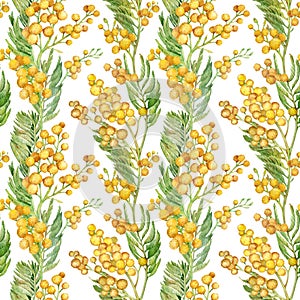 Seamless spring pattern with sprig of mimosa. Watercolor yellow floral background.