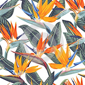 ,Bright seamless pattern with tropical flowers and leaves of Strelitzia Reginae. photo