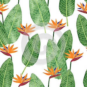 Seamless Strelitzia Reginae pattern with watercolor flowers and leaves. Vector tropical bird paradise flower background
