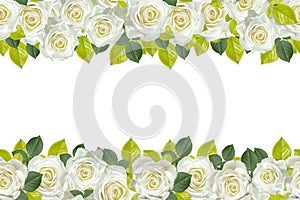 Seamless stripes of white roses with green leaves.