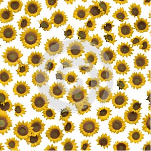 A vibrant seamless Sunflower pattern with bold, cheerful petals and bright yellow hues. photo