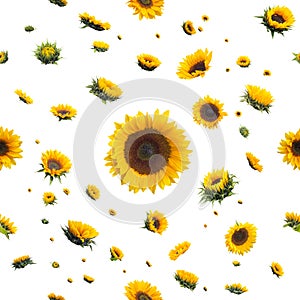 Seamless Sunflowers