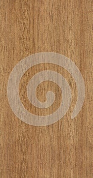 Seamless teak texture