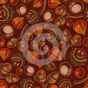 Seamless texture on autumn theme, elements of chestnut, rowan, physalis, acorn. Autumn wallpaper illustration