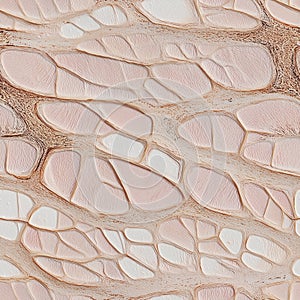 seamless texture of biological tissue under microscope