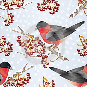 Seamless texture bird bullfinch small songbirdon on on snowy tree and berry winter background vintage vector illustration editable