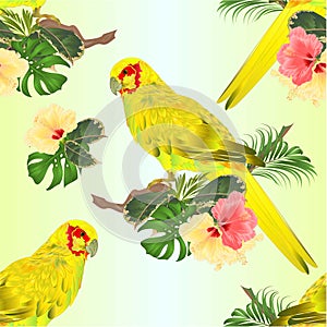 Seamless texture bird Parrot in Yellow Indian Ringneck  on branch with tropical flowers hibiscus, palm,philodendron watercolor on