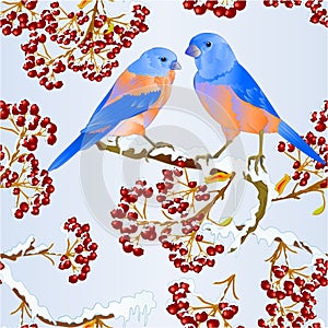 Seamless texture birds Bluebirds thrush small songbirdon on on snowy tree and berry winter background vintage vector illustration