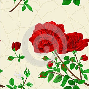 Seamless texture bouquet of red   roses and rosebuds festive background like cracks on porcelain watercolor vintage vector