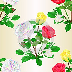 Seamless texture bouquet of roses and rosebuds red white and yellow on   white background watercolor vintage vector botanical