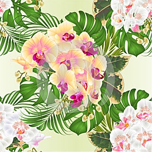 Seamless texture bouquet with tropical flowers floral arrangement, with beautiful yellow and white orchid Phalaenopsis, palm,phil