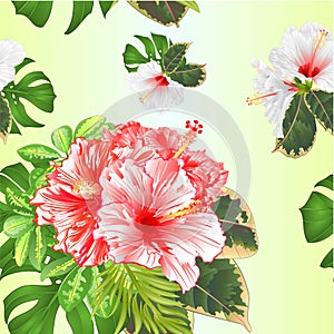 Seamless texture bouquet with tropical flowers  pink and white   hibiscus, Schefflera ,philodendron and ficus natural background