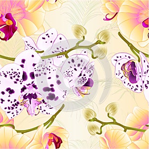 Seamless texture branch orchids flowers yellow ,dots purple and white Phalaenopsis tropical plant stem and buds on a white backg