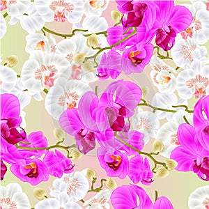 Seamless texture Branch orchids white and purple flowers Phalaenopsis tropical plant stems and buds vintage vector botanical il