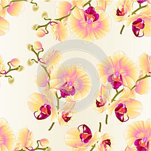 Seamless texture branch orchids yellow flowers Phalaenopsis tropical plant on a white background vintage vector botanical illust