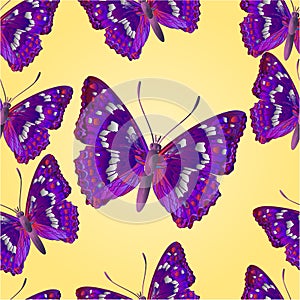 Seamless texture butterfly Apatura iris vector