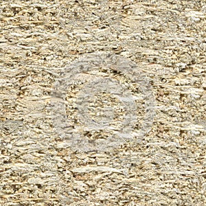 Seamless texture, Chipboard end face, furniture panels, worktops photo