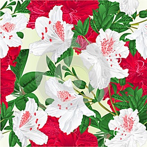 Seamless texture flowers red and white rhododendrons twigs natural background vintage vector illustration editable