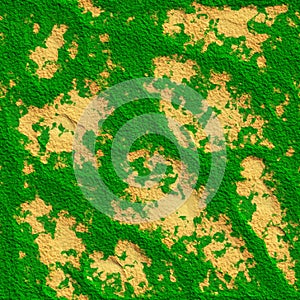 Seamless Texture green oasis sand and vegetation top view