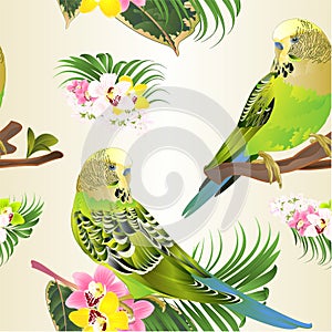 Seamless texture green parakeets Budgerigars, home pet , pet parakeet  or budgie or shell parakeet with Orchid cymbidium pink